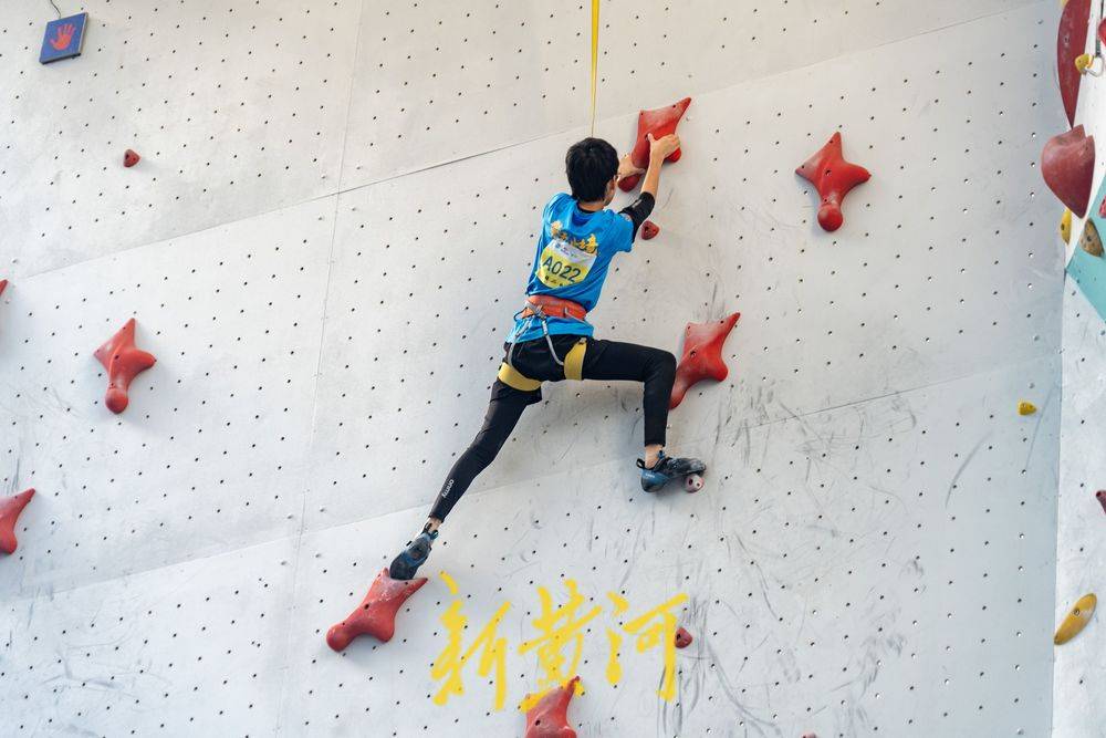 范志毅说米卢老狐狸，晏秋秋邀范志毅上观碰头.