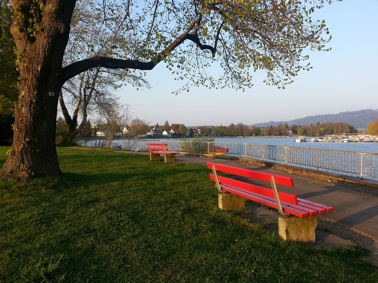 比赛中容易 比赛中容易