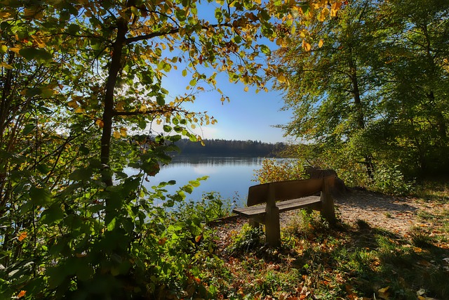 作為新一代 作為新一代