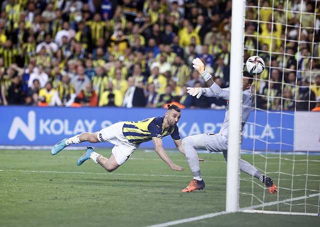 相辅相成的 相辅相成的